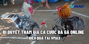 Bí Quyết Tham Gia Cá Cược Đá Gà Online Hiệu Quả Tại Vmax