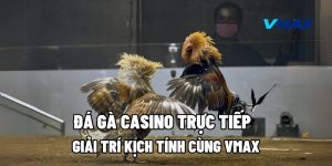 Đá Gà Casino Trực Tiếp: Giải Trí Kịch Tính Cùng Vmax