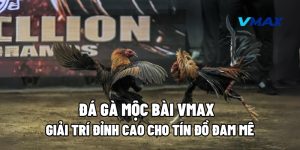 Đá Gà Mộc Bài Vmax – Giải Trí Đỉnh Cao Cho Tín Đồ Đam Mê