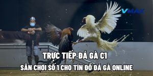 Trực Tiếp Đá Gà C1 – Sân Chơi Số 1 Cho Tín Đồ Đá Gà Online